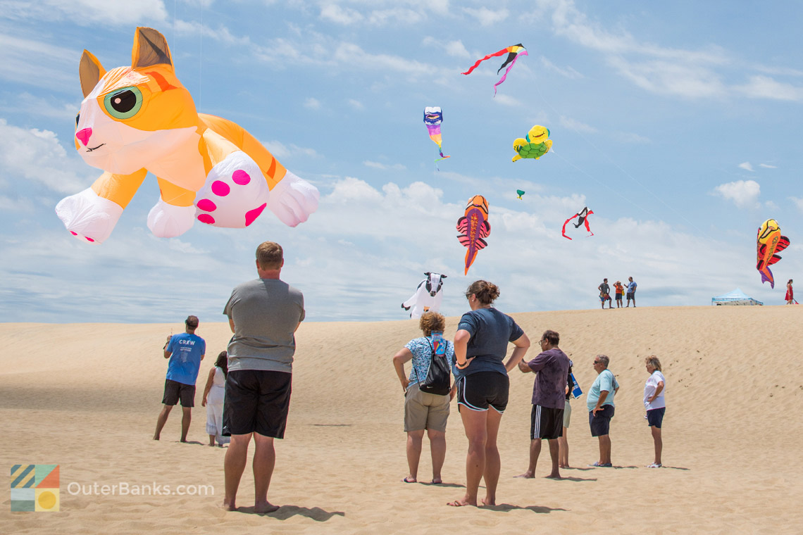 Havelock Kid Friendly Events 2025 Schedule