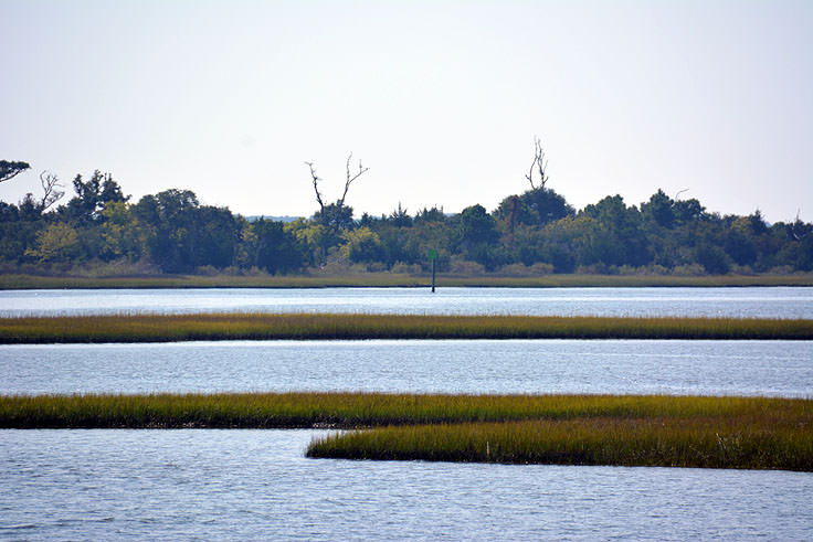 Water view from the ferry dock at Hammocks Beach State Park