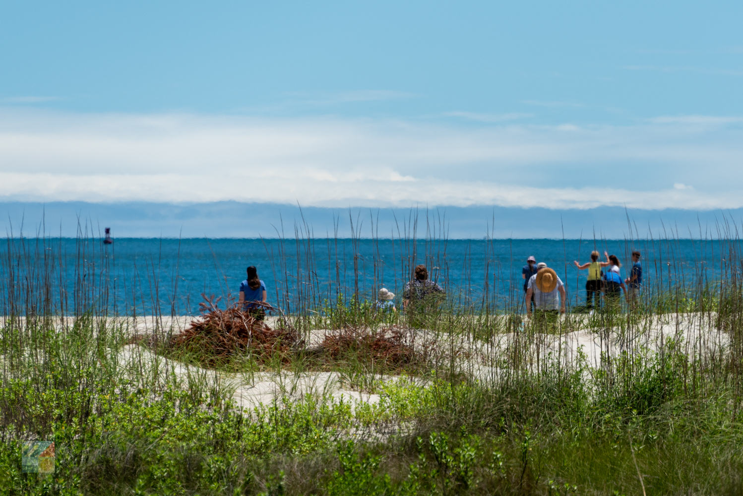 Fort Macon State Park