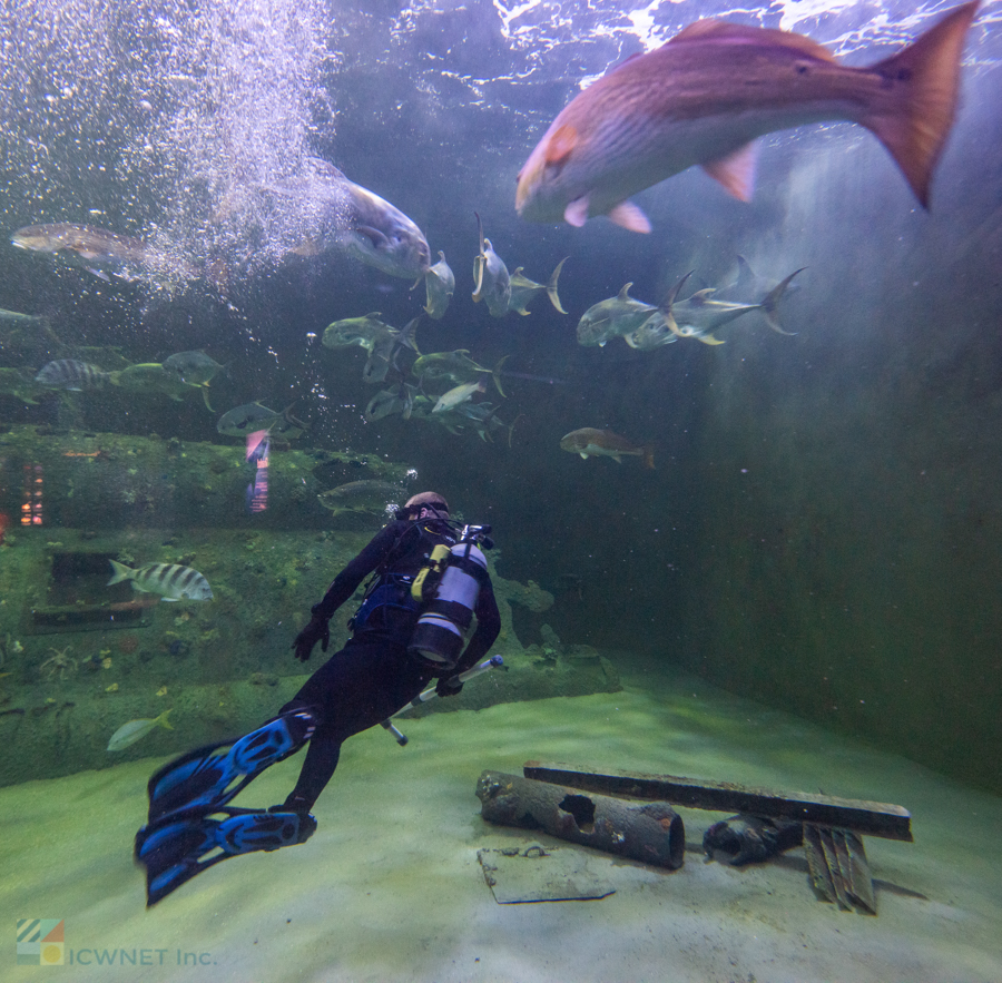 NC Aquarium at Pine Knoll Shores