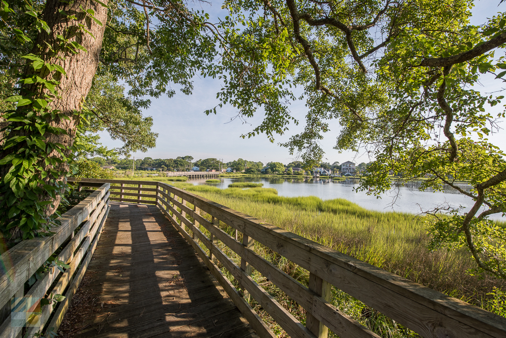 Calico Creek Boardwalk in Morehead City NC