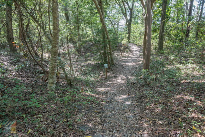 Theodore Roosevelt Natural Area