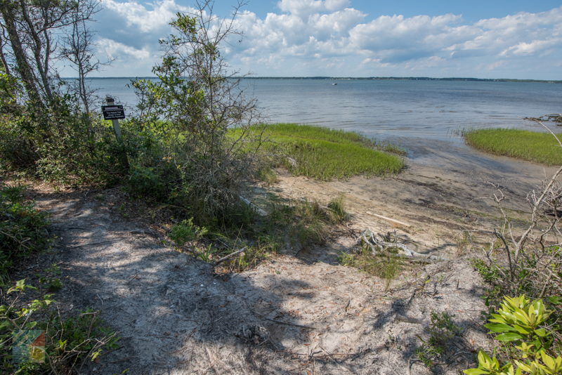 Theodore Roosevelt Natural Area