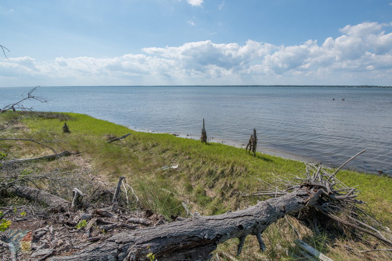 Theodore Roosevelt Natural Area