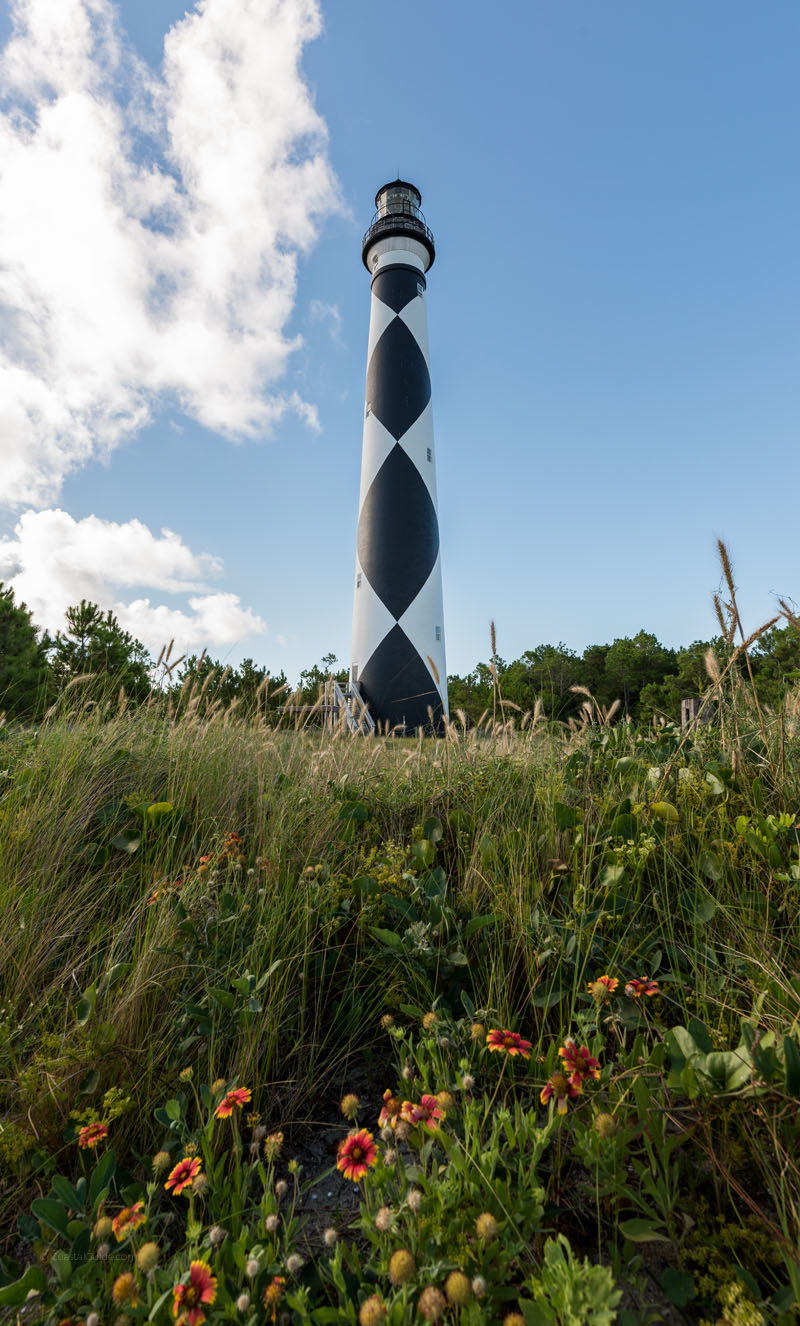 A pretty view of the Cape Lookout Lighthouse