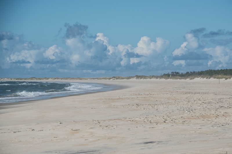 The beach adjacent to Cape Lookout Lighthouse