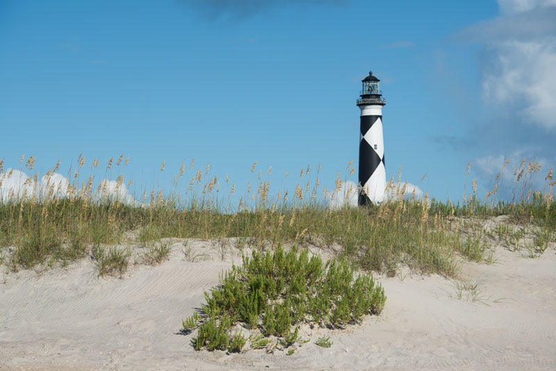 Cape Lookout Lighthouse standing tall behind beach dunes and sea oats